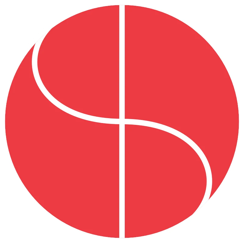 dsc logo